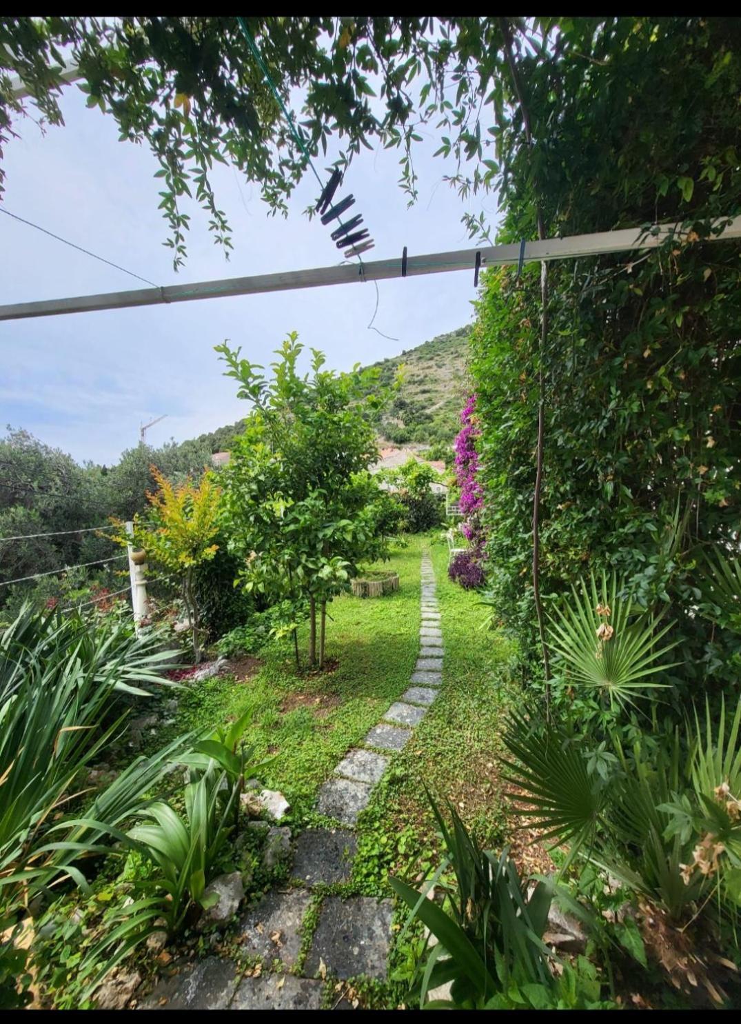 Greengarden Dubrovnik Exterior foto
